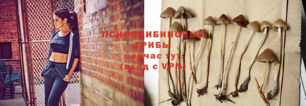 прущий лед Дмитров