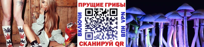Купить  Когалым  Псилоцибиновые грибы Psilocybine cubensis 